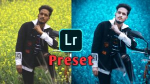 Raghav editz lightroom presets download