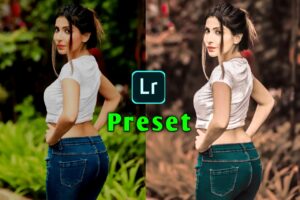 Best lr presets free adobe image editor