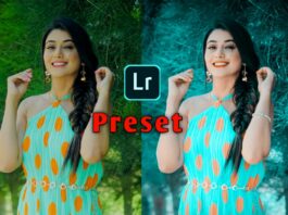 lightroom presets nicksupport