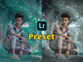 Free Lightroom presets Mobile