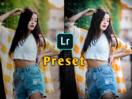 Nsb presets for lightroom mobile