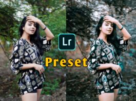 Portrait presets for lightroom