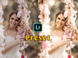 lightroom wedding presets, lightroom presets wedding, free lightroom presets wedding, wedding lightroom presets, wedding presets for lightroom