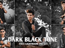 Dark preset lightroom, lightroom dark presets download free, moody dark green lightroom preset free download, dark moody lightroom mobile presets free download, moody dark lightroom mobile preset, moody lightroom presets free download, moody presets lightroom, best dark and moody presets, best moody presets