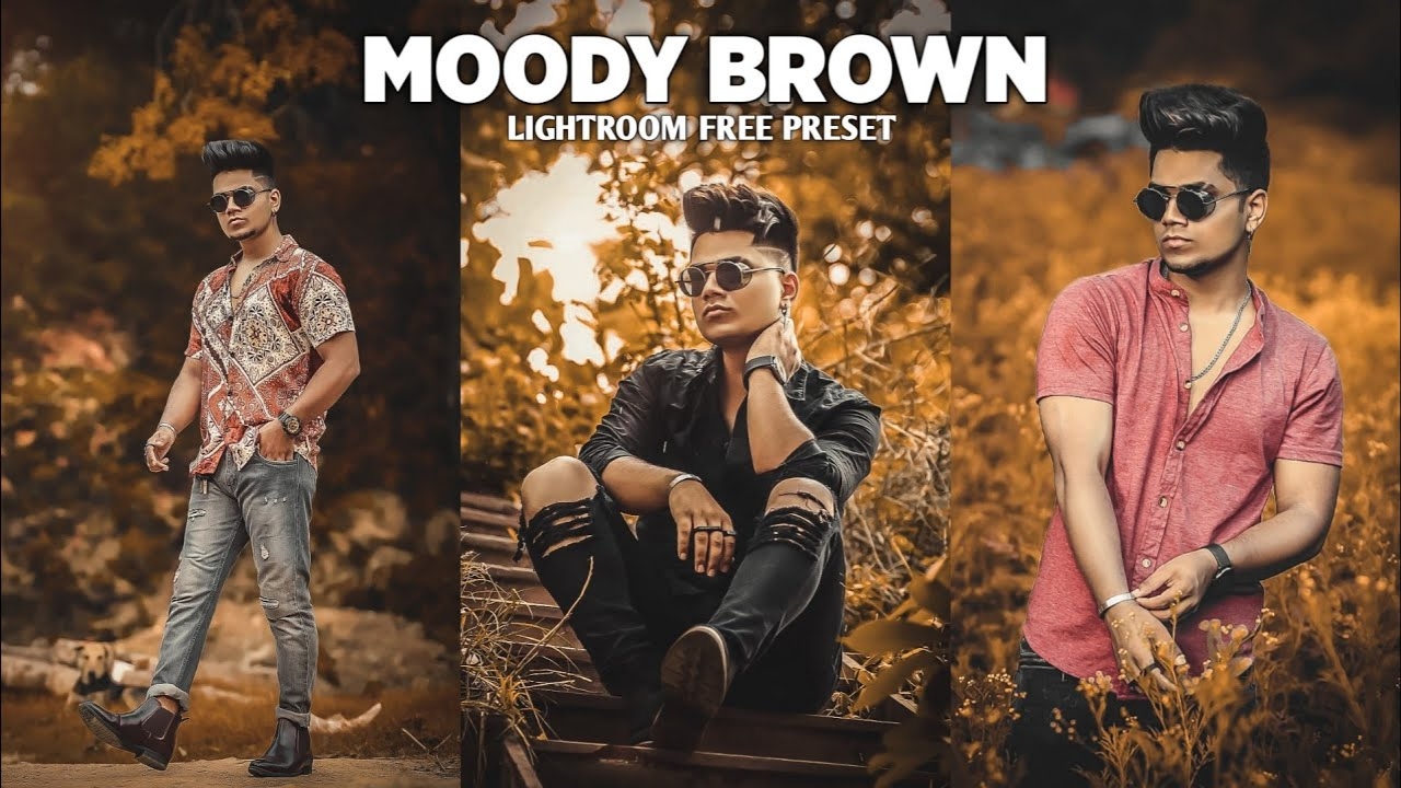 Moody preset lightroom