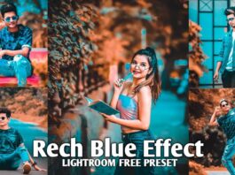 Best lightroom presets free 2022
