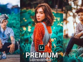 Most famous lightroom presets