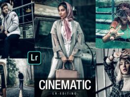 Lightroom cinematic presets free download