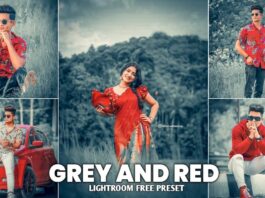 Lightroom presets free download zip file for Android