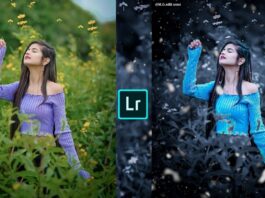 Sweet green and black lightroom presets by brd